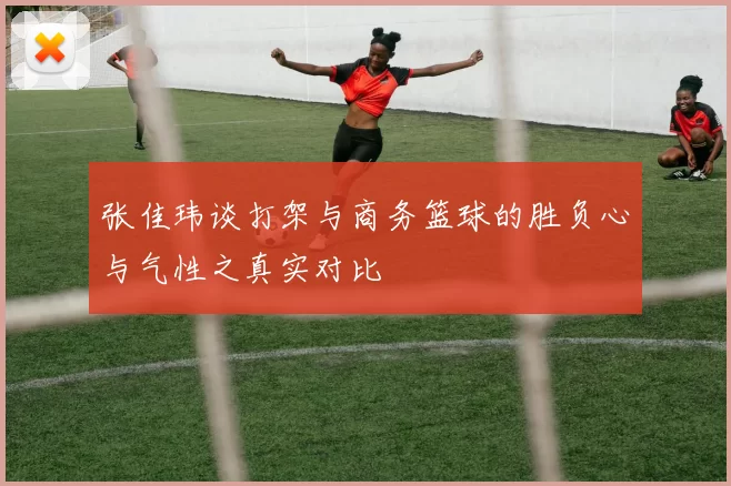 张佳玮谈打架与商务篮球的胜负心与气性之真实对比